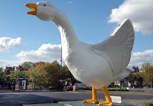Goosey the Goose Fair Goose | Visit nottinghamshire