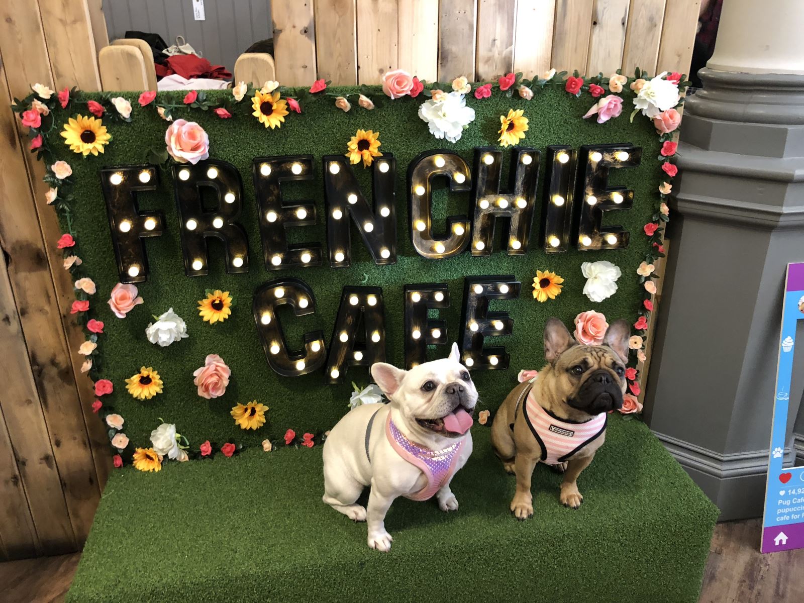 Frenchie Cafe | Visit Nottinghamshire