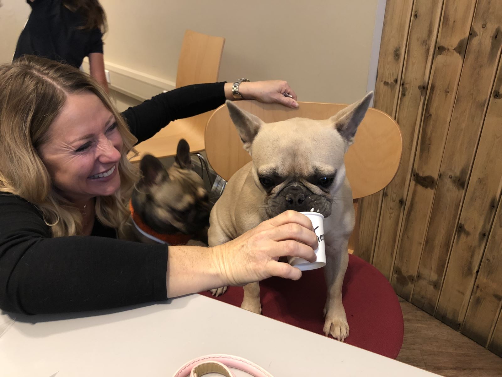 Frenchie Cafe Puppacino | Visit Nottinghamshire