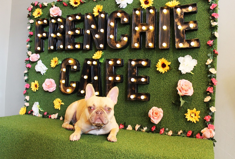 Frenchie Cafe | Visit Nottinghamshire