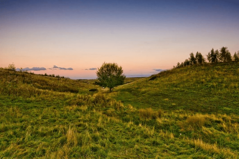 gedling country park