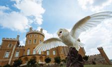 Belvoir Castle, What's On In and Around Nottingham
