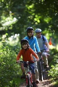 Cycling in the forest (2)