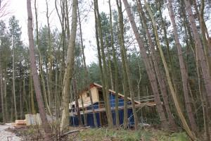 Forest Holidays