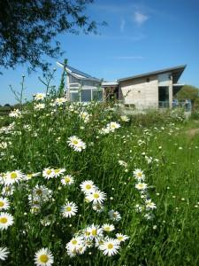 Attenborough Nature Reserve image2