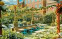 The Magic Garden
