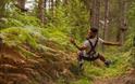 Go Ape at Sherwood Pines