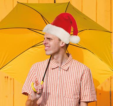 harry christmas