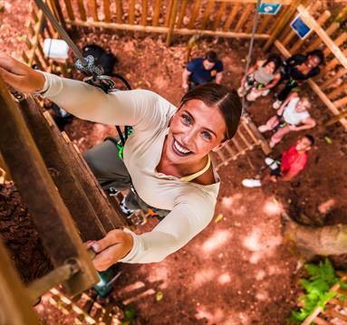 Go Ape at Sherwood Pines