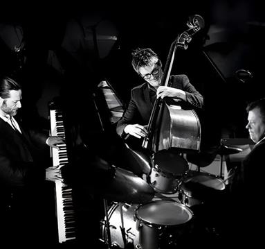 Trio Manteca
