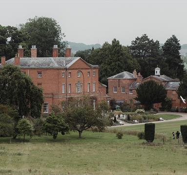 Birds Of Prey Afternoon Tea at Norwood Park 2026
