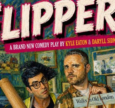 Flippers
