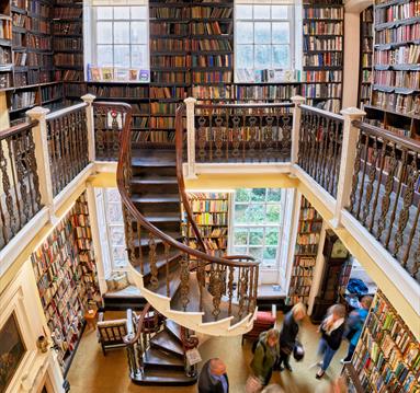 Photo of Bromley House Library interior