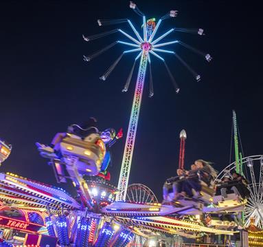 Goose Fair