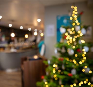 Christmas at Clumber Park 2025