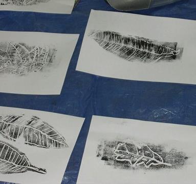 Nature in Monochrome
