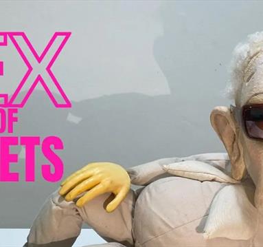 The Sex Lives of Puppets