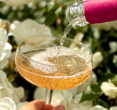 Summer Wine Tasting Evening at Norwood Park 2026
