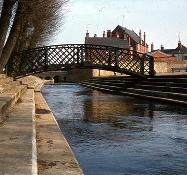 Talk: The Future of The Leen
