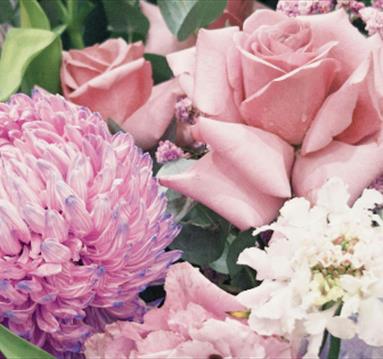 Flower Festival 2026
