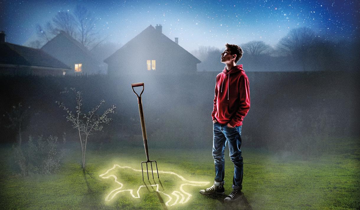 The Curious Incident of the Dog in the Night-Time
