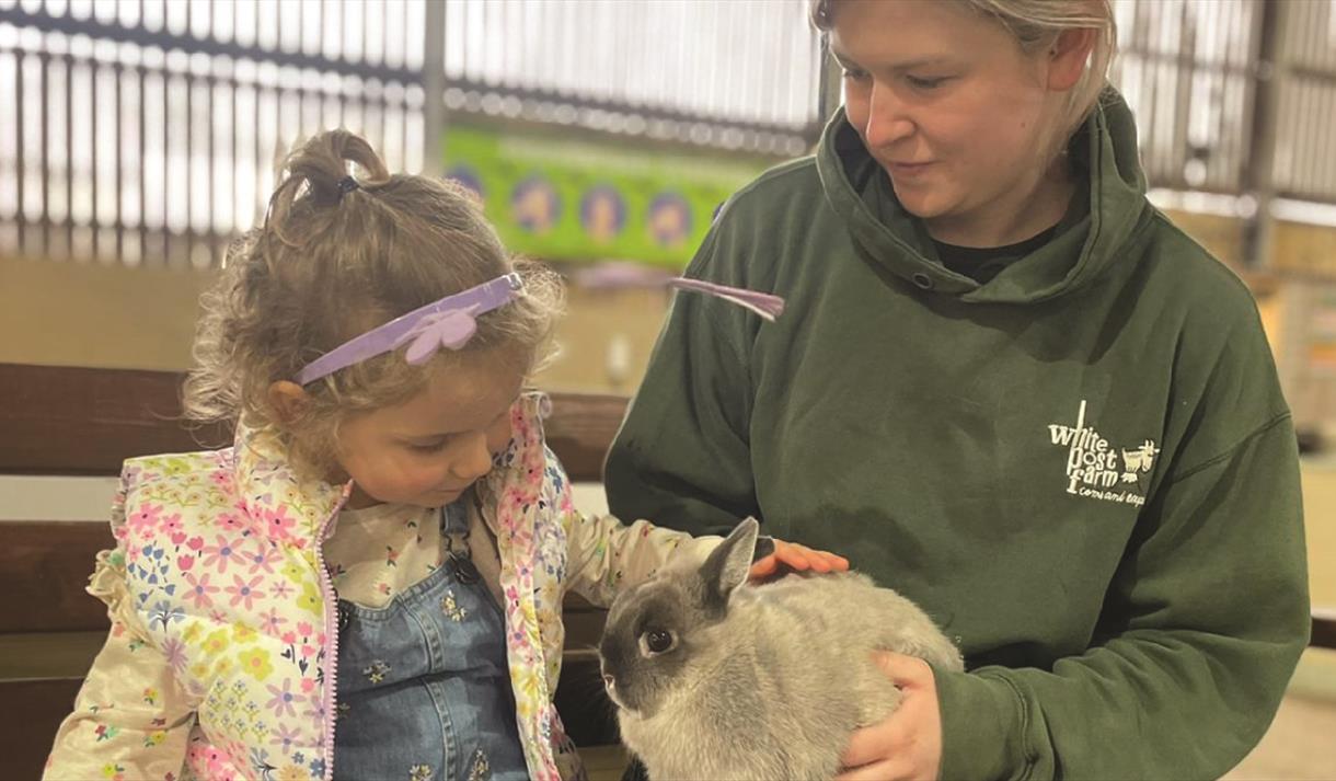 Mad Hatter's Spring Party
