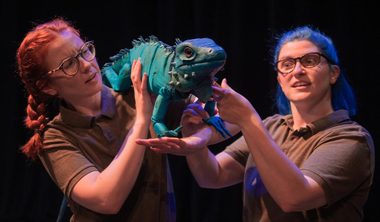 Scarlet Oak Theatre THE ZOO THAT COMES TO YOU Image