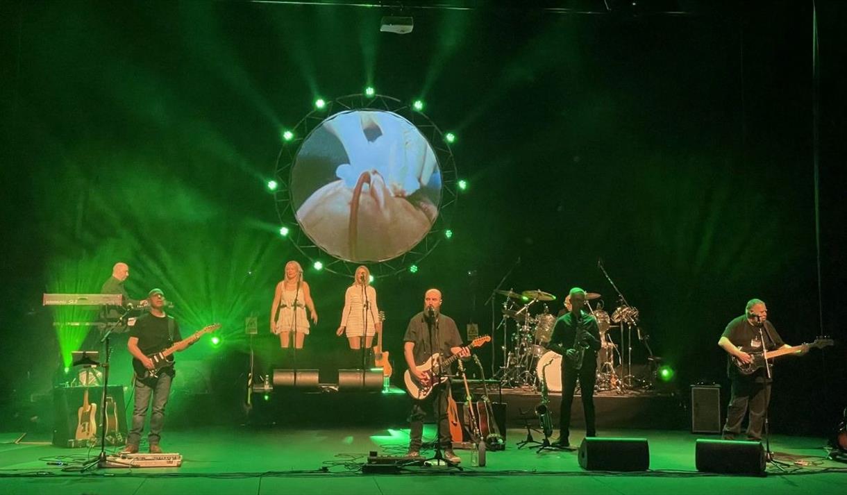 Pink floyd tribute band