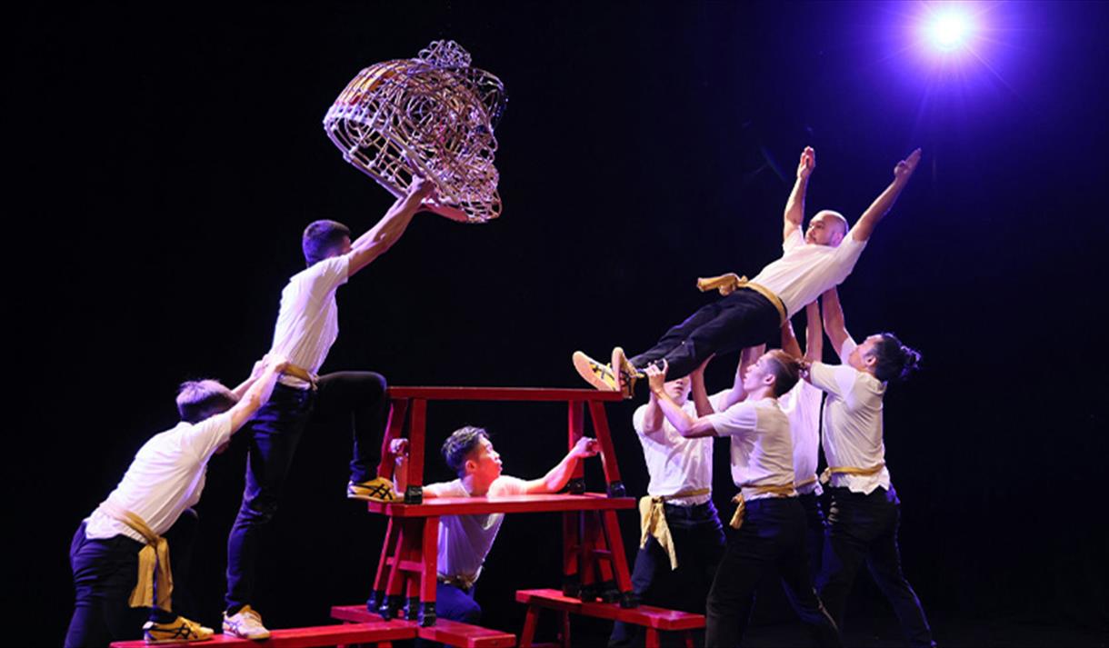 TS Crew NO DRAGON NO LION Image