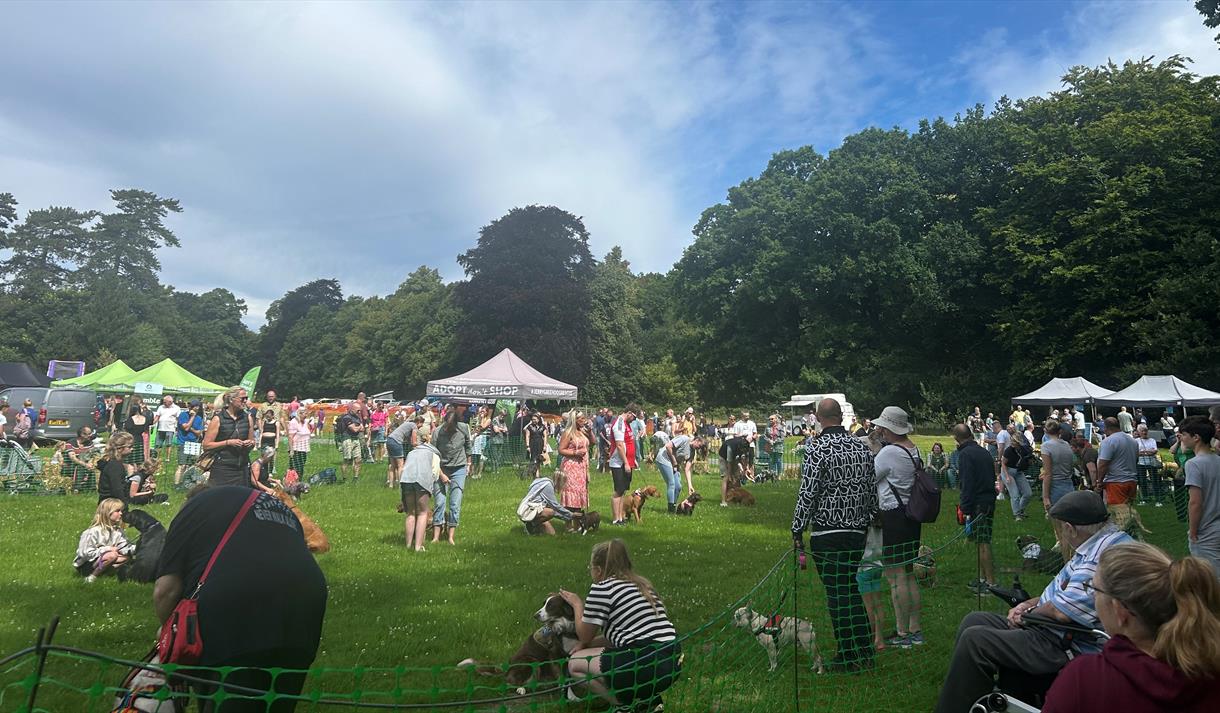 image of people at a county fair