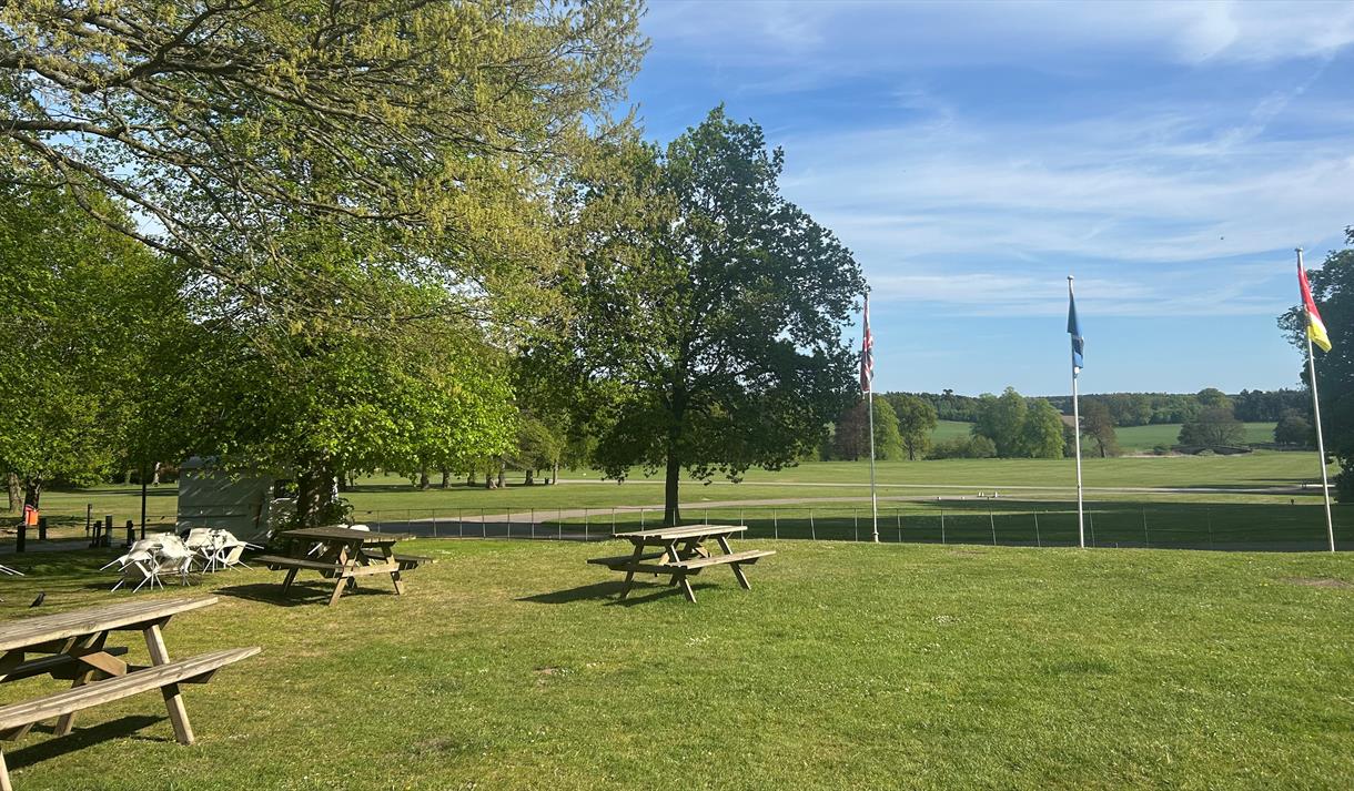 Benches and greenery at Thoresby Park