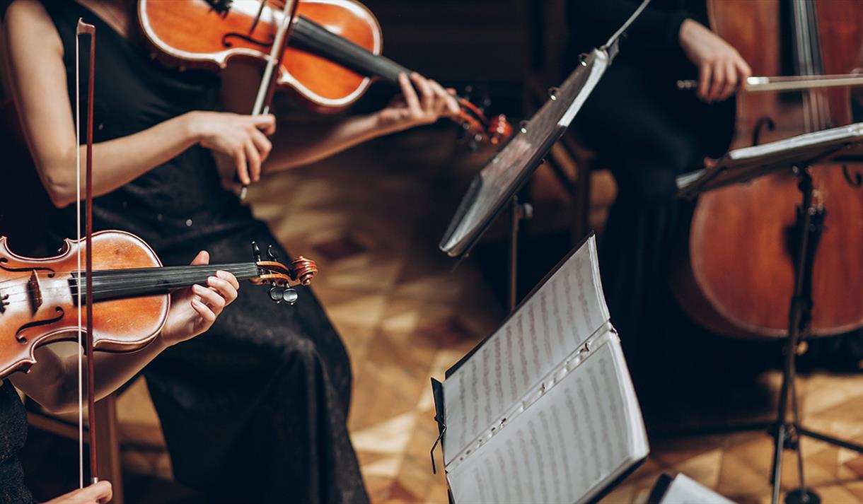 NTU String Sinfonia Live