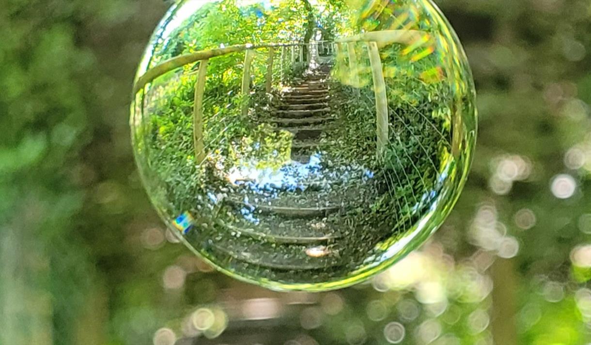 Bonington Vitrines #29: Through Our Eyes, In Our Words