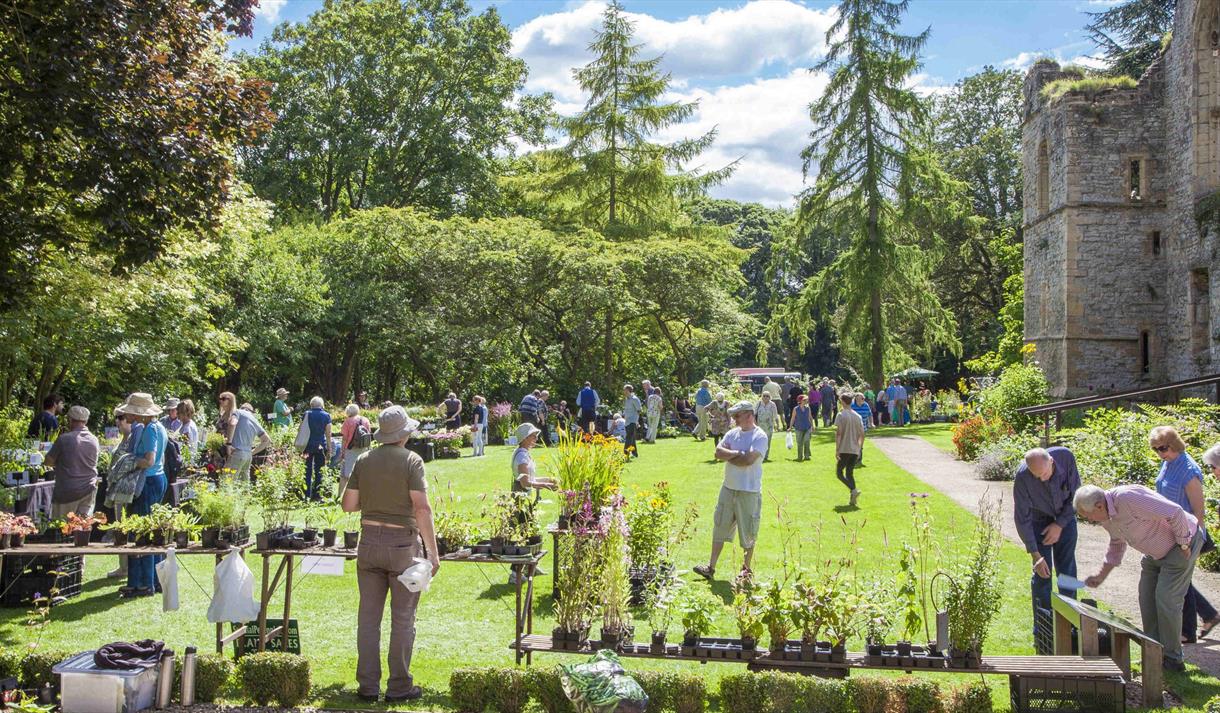 Plant Hunters' Fair