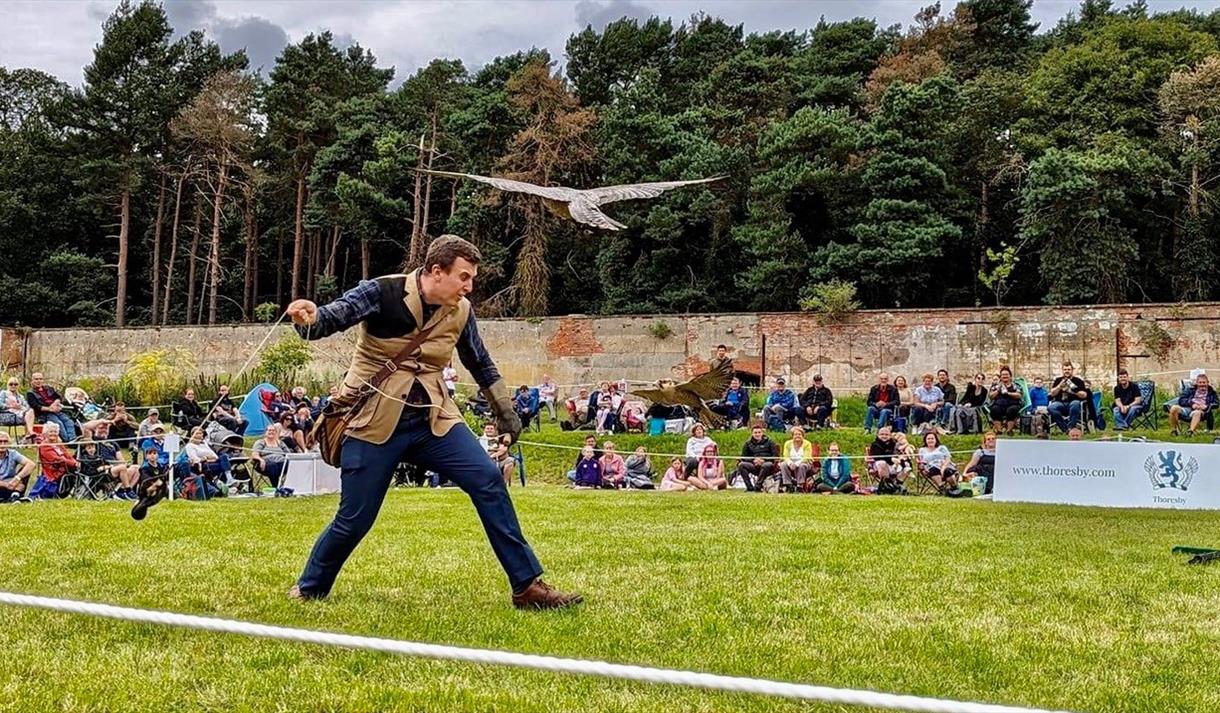 An afternoon picnic with Birds of Prey image
