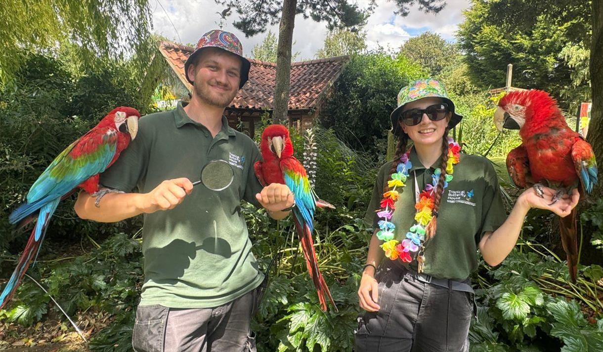 Tropical Treasures Trail
