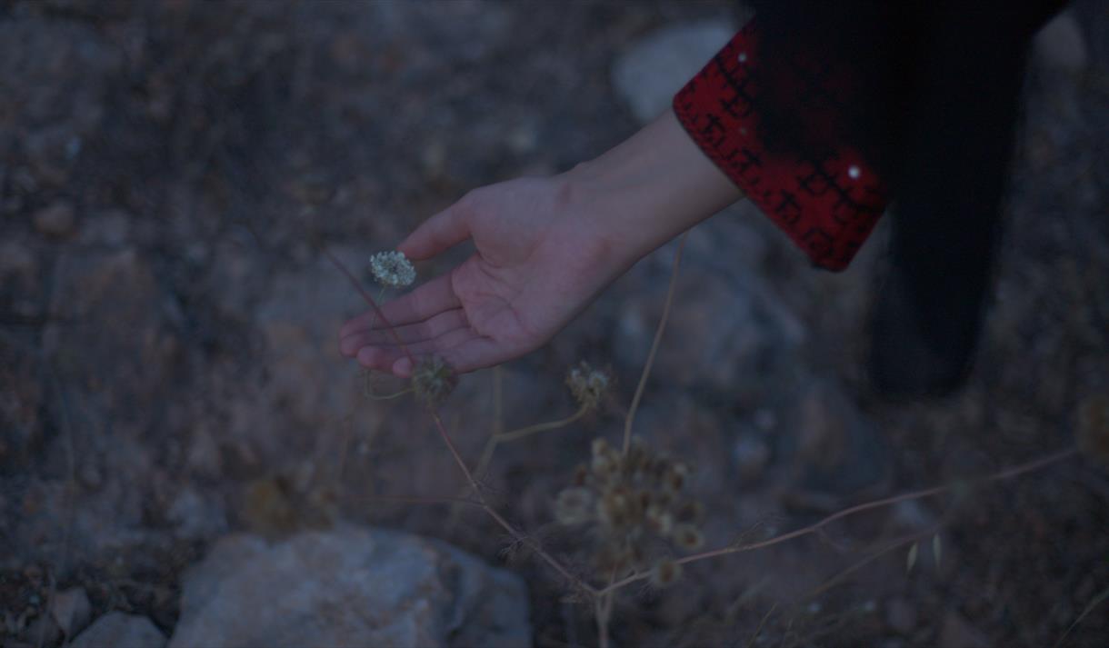 Basel Abbas & Ruanne Abou-Rahme