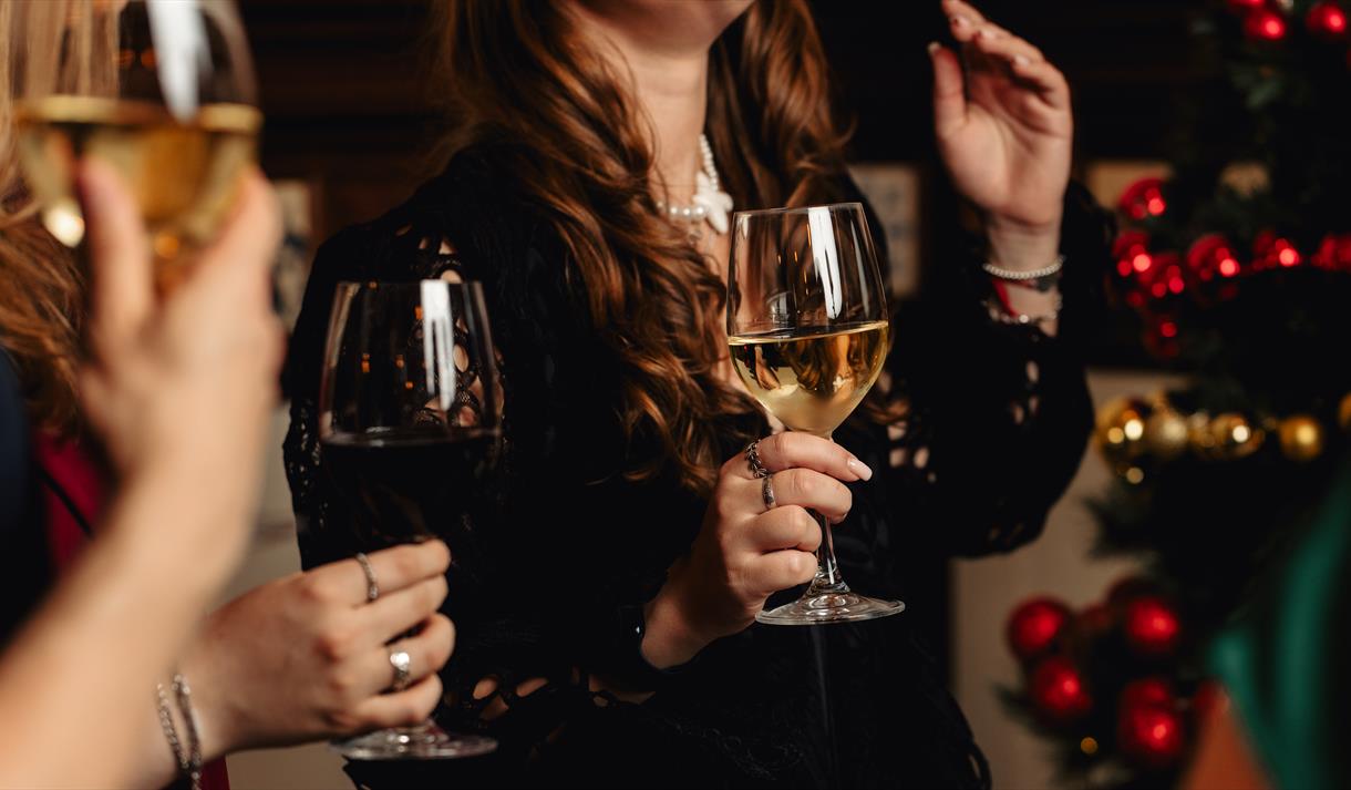 Bingo Christmas Party Nights at Park Plaza Nottingham