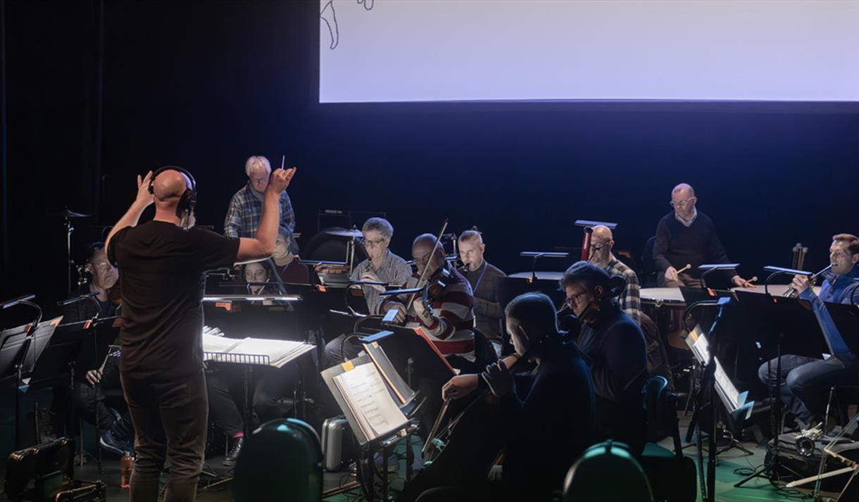 BBC Concert Orchestra Picture