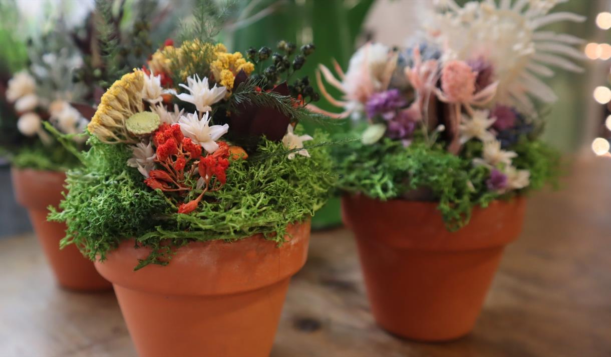 mini garden arrangements