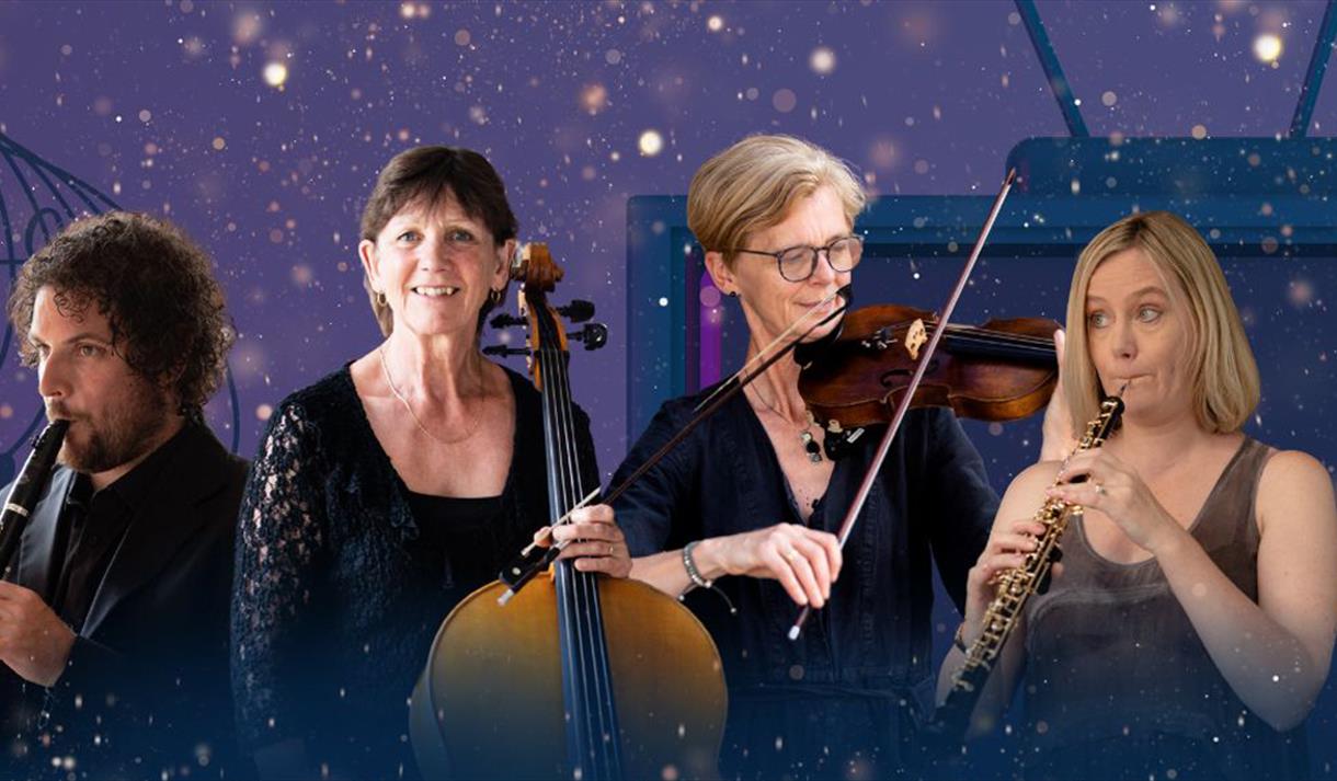 Sinfonia Viva's New Year's Eve Gala
