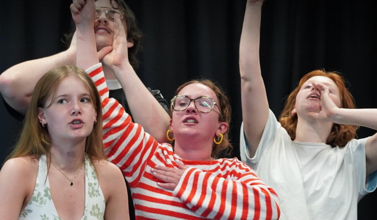 Family Business play image