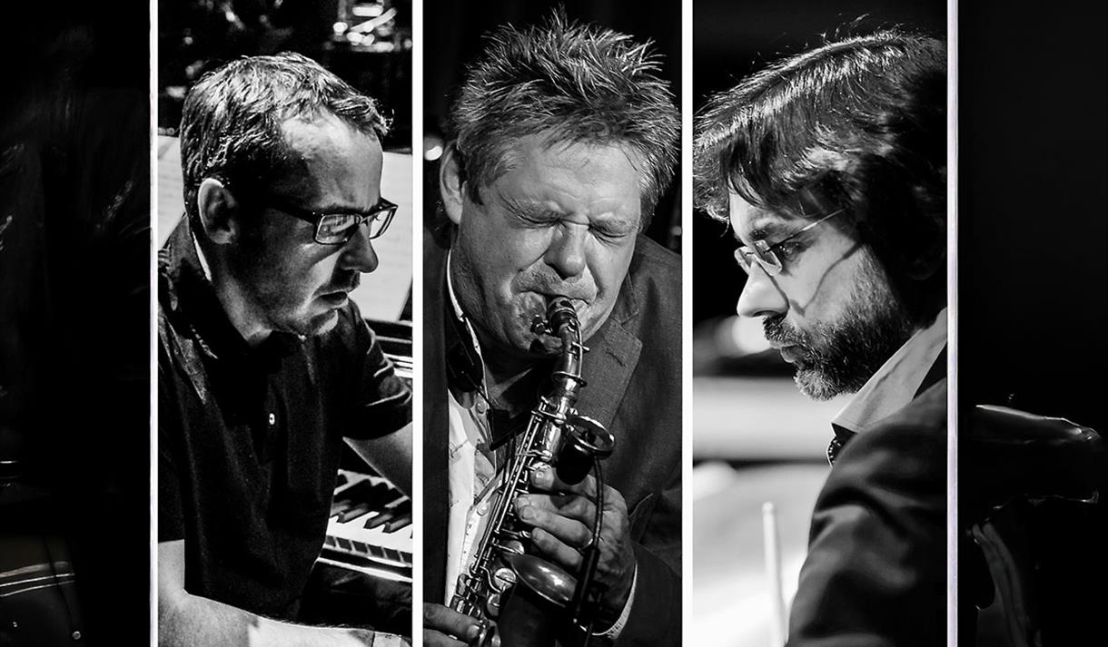 Black and white collage photos of musicians