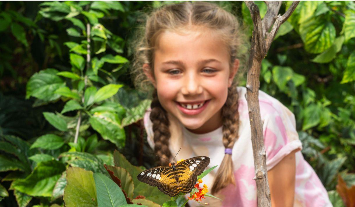 Tropical Butterfly House Wildlife Conservation Park

