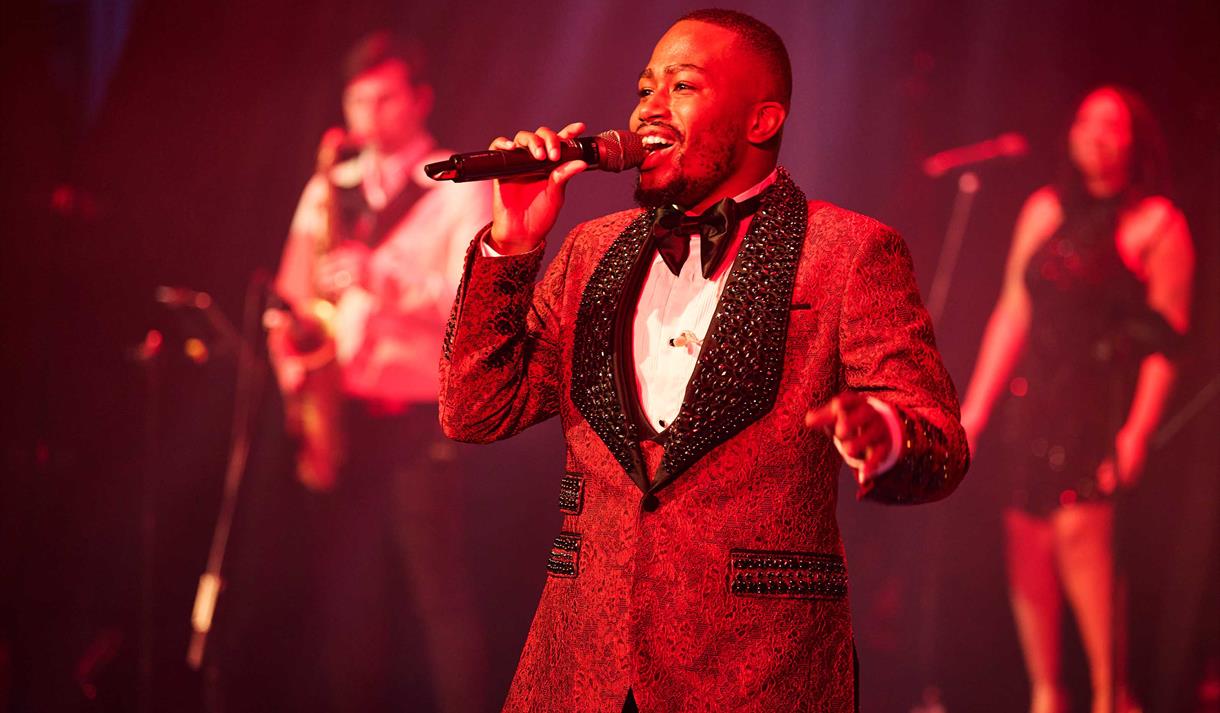 The Marvin Gaye Songbook