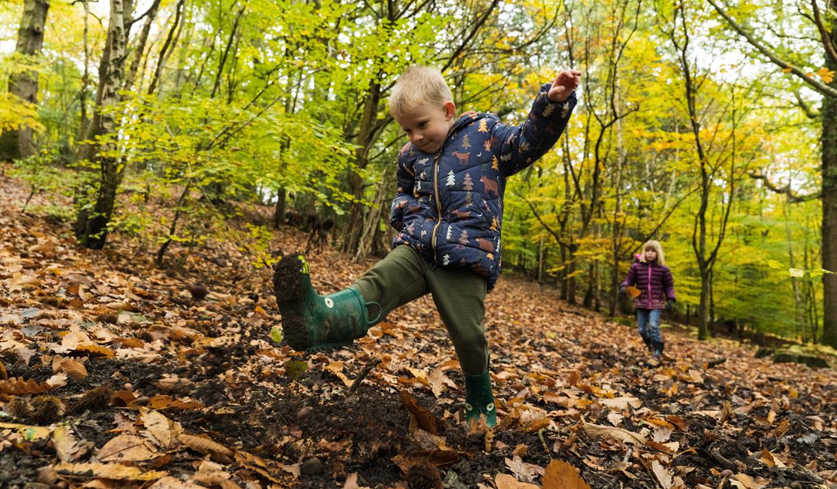Welcome to Storytime with Gruffalo Granny at Sherwood Pines