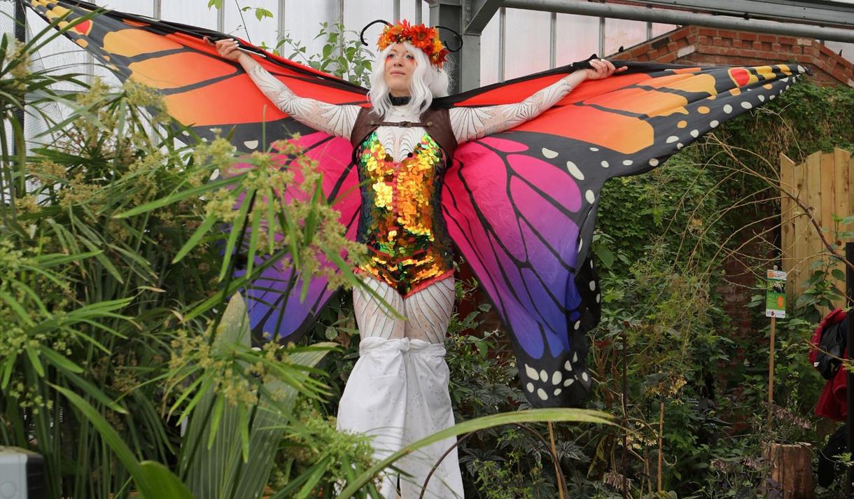Lady on stilts wearing a butterfly outfit