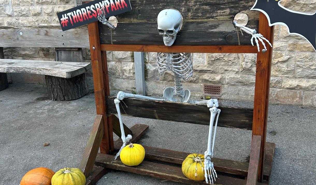 Thoresby Park Halloween Trail
