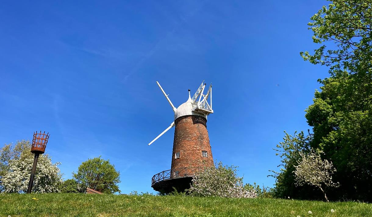 Children's Bread Baking
