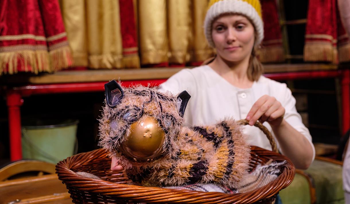 Photo of the tiger puppet on stage